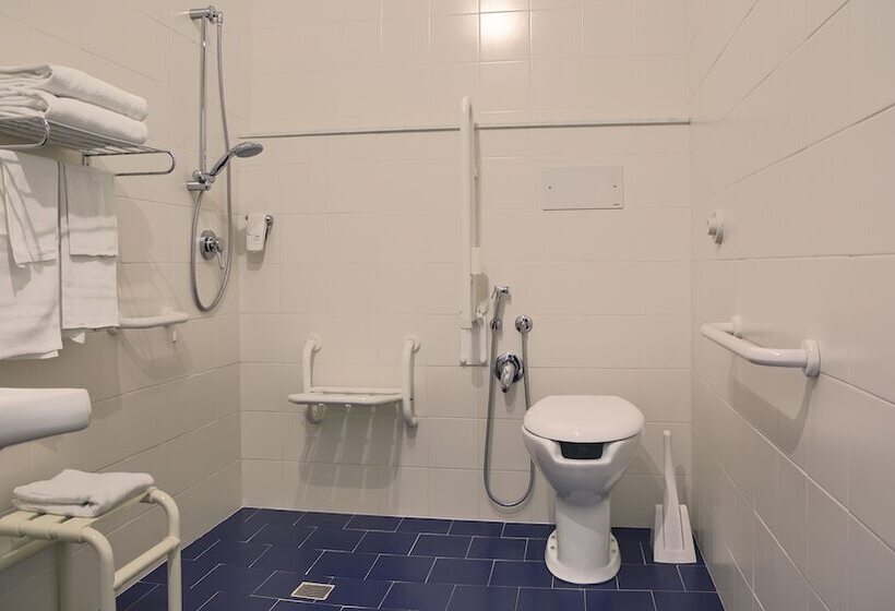 Номер Стандарт Адаптированный для Инвалидов, Mistral2