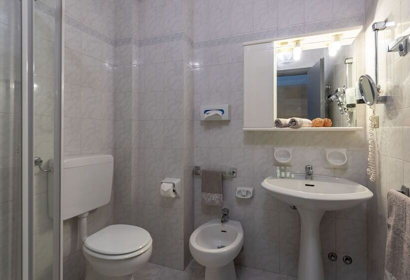 غرفة قياسية, Roma