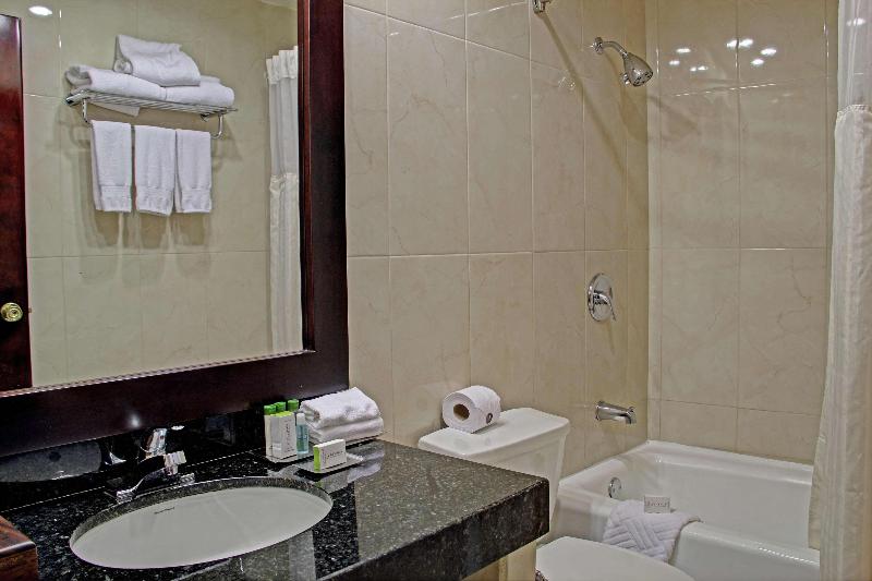 Camera Deluxe, Sheraton Rome Parco De Medici