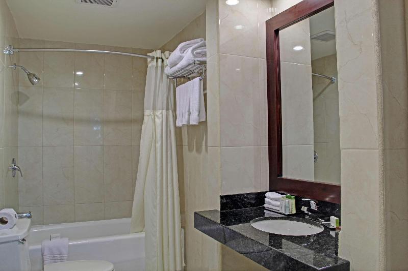 Camera Deluxe, Sheraton Rome Parco De Medici