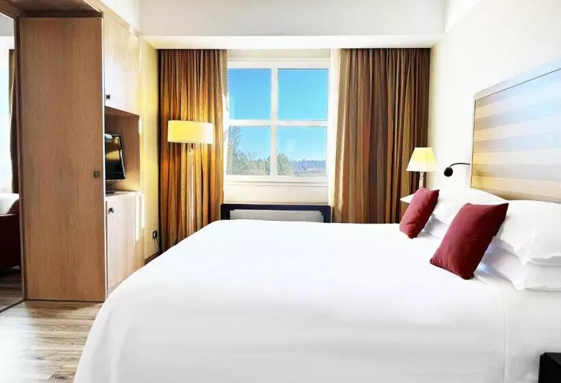 Suite, Sheraton Rome Parco De Medici