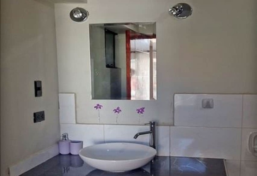 شقة أساسية غرفة واحدة, Kintu Apart