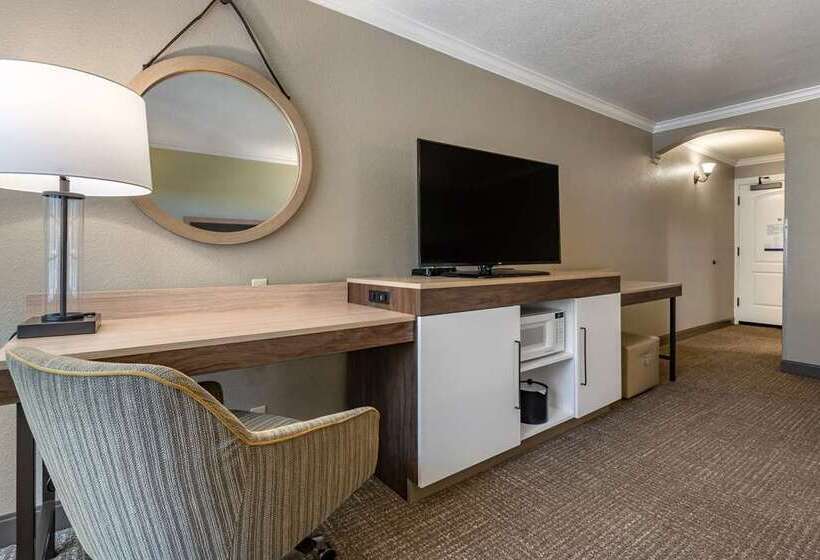 غرفة قياسية مطلة على المدينة, Hampton Inn Oakland Downtown City Center