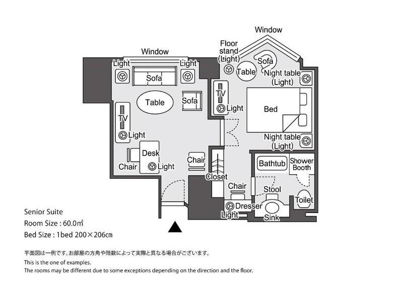 جناح سينيور, Hankyu International