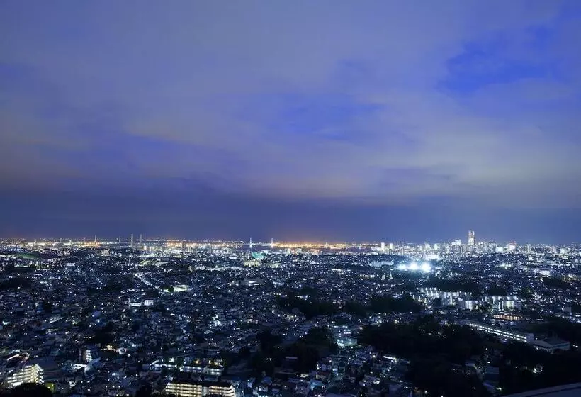 اتاق لوکس با تخت بزرگ, Shin Yokohama Prince
