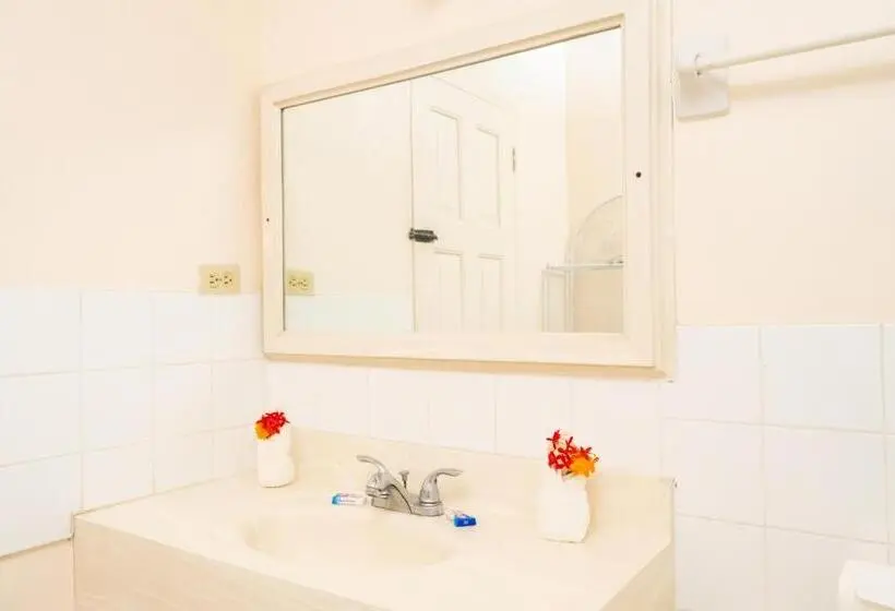 استودیوی استاندارد, Shields Negril Villas Ltd
