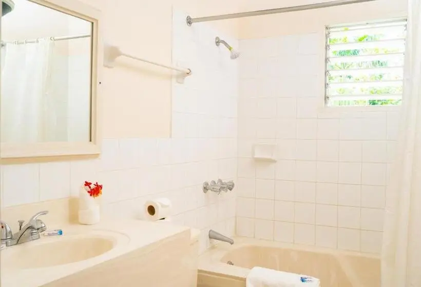 استودیوی استاندارد, Shields Negril Villas Ltd