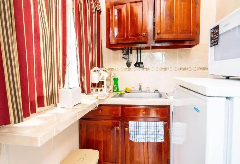 استودیوی استاندارد, Shields Negril Villas Ltd