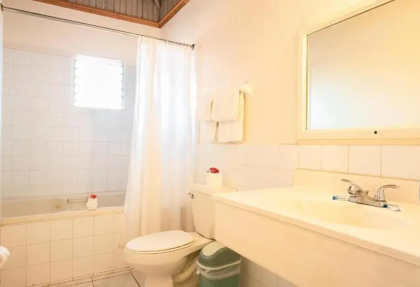 اتاق استاندارد با تخت بزرگ, Shields Negril Villas Ltd