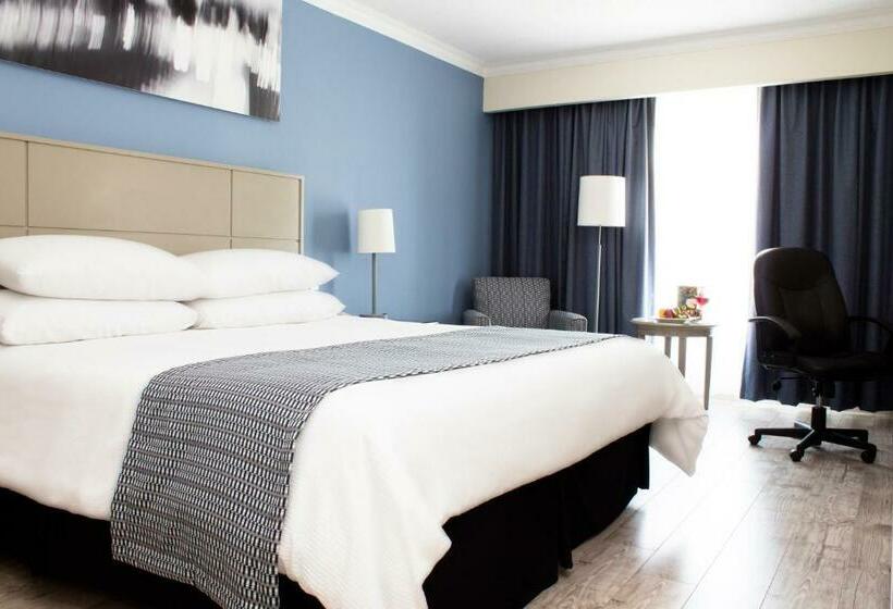 스탠다드 룸 킹사이즈 침대, Krystal Urban Ciudad Juarez By Us Consulate