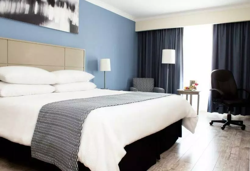 اتاق استاندارد با تخت بزرگ, Krystal Urban® Ciudad Juárez