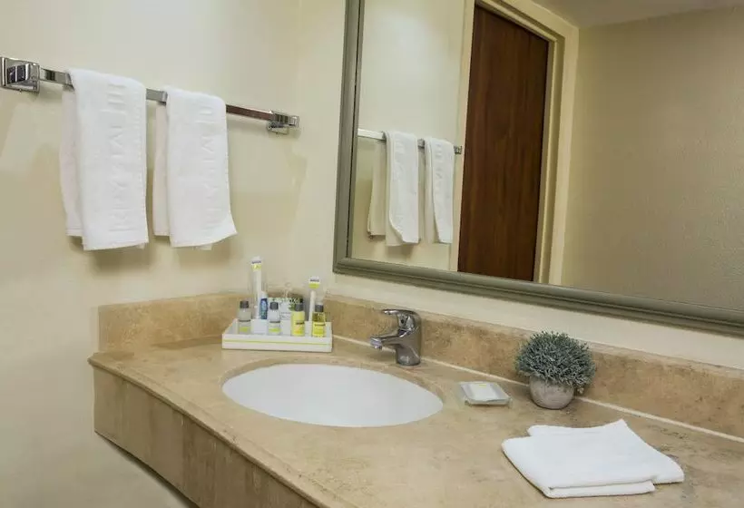 اتاق استاندارد با 2 تخت دوبل, Krystal Urban® Ciudad Juárez