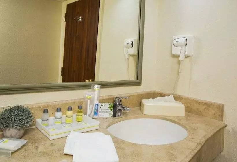 اتاق استاندارد با 2 تخت دوبل, Krystal Urban® Ciudad Juárez