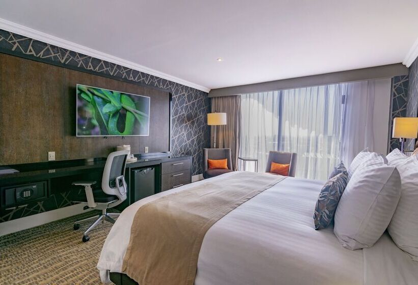 带大床的标准间, Lucerna Ciudad Juarez