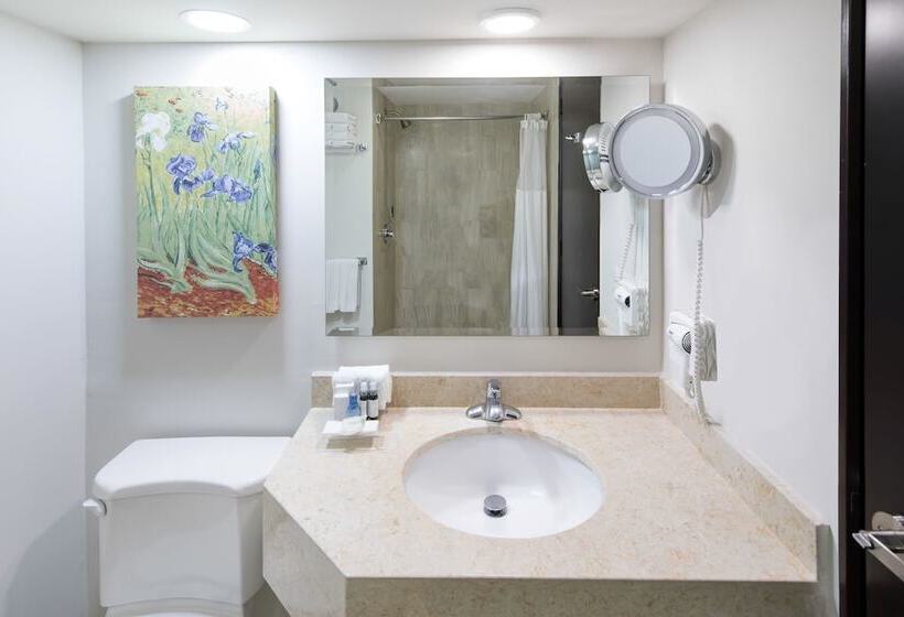 Номер Deluxe, Wyndham Executivo Culiacan