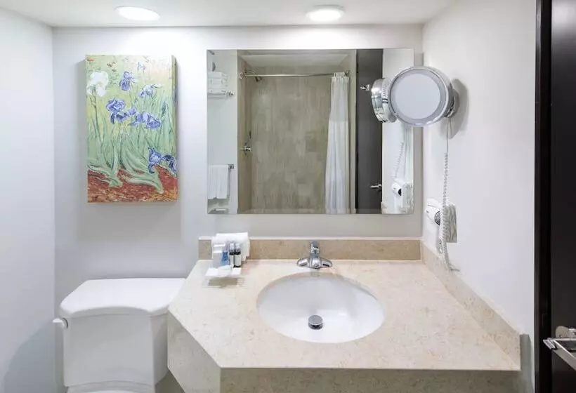 اتاق لوکس, Wyndham Executivo Culiacan