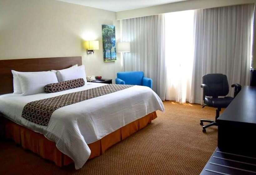 デラックスルーム, Wyndham Executivo Culiacan