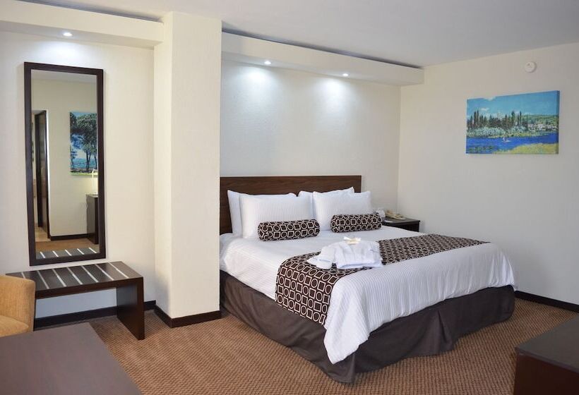 デラックスルーム, Wyndham Executivo Culiacan