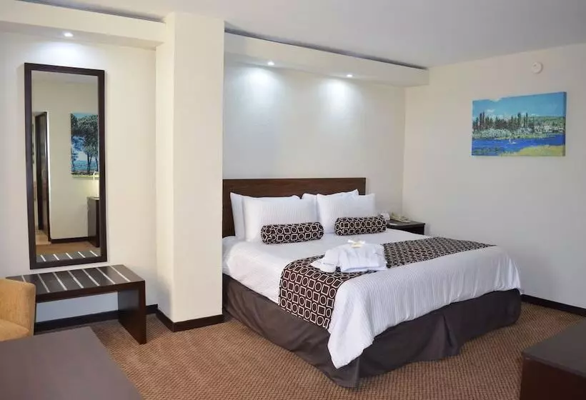 اتاق لوکس, Wyndham Executivo Culiacan