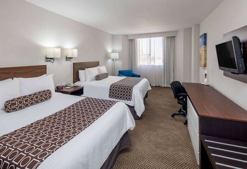 デラックスルーム, Wyndham Executivo Culiacan