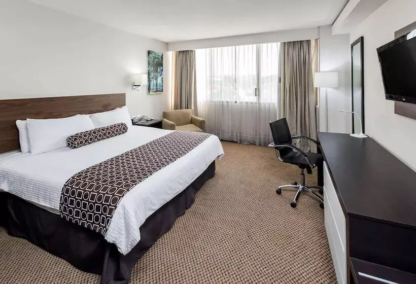اتاق لوکس, Wyndham Executivo Culiacan
