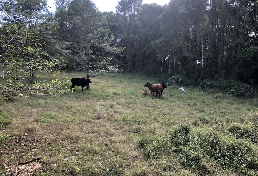 غرفة قياسية مطلة على الجبل, Krabi Lighthouse @ Aonang