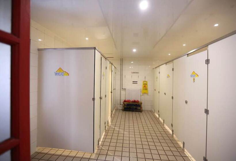 공동 객실, Qingdao Wheat Youth Hostel