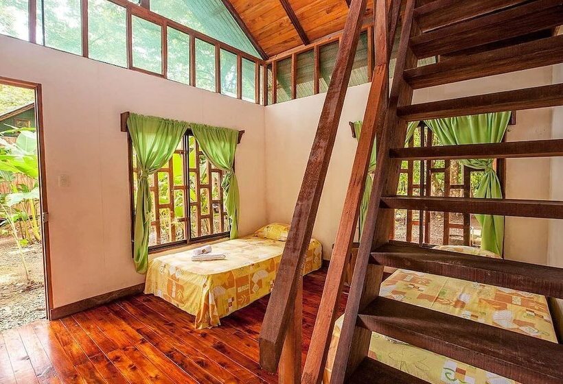 اتاق استاندارد چهار تخته, Cacao Monkeys