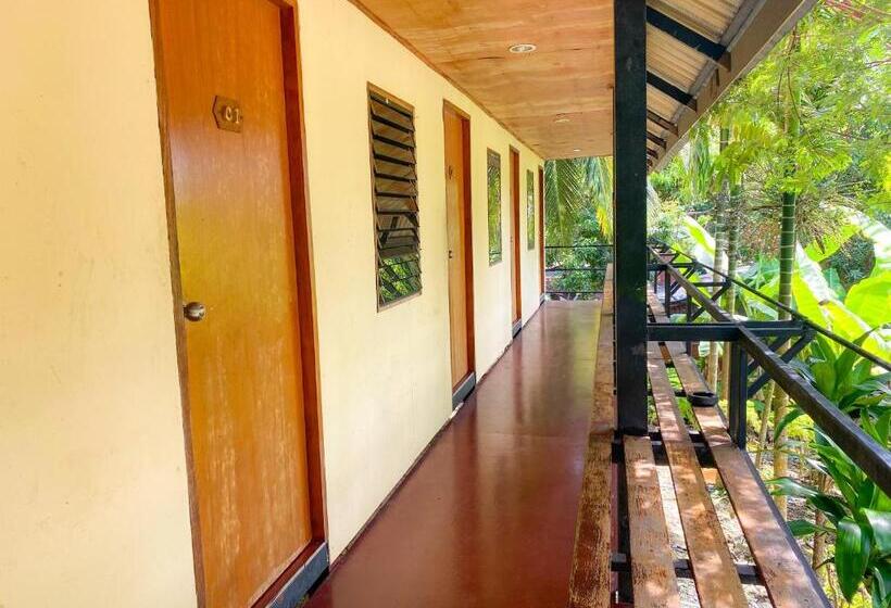 غرفة قياسية حمام مشترك, Rapala Rock Wood Resort Sha Plus