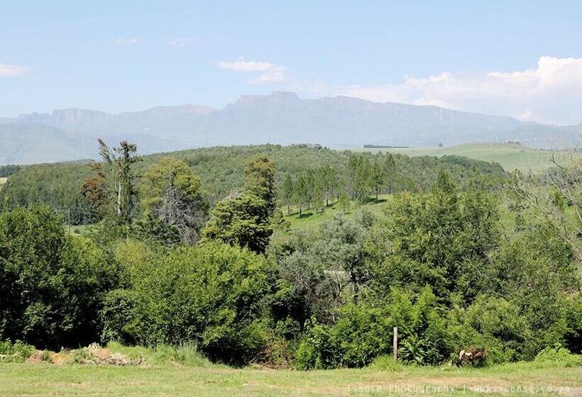 סוויטה אקזקיוטיב, The Nest Drakensberg Mountain Resort