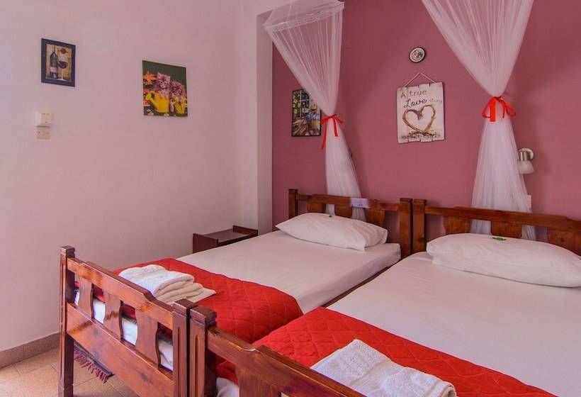 スタンダードルーム, Savas Rooms