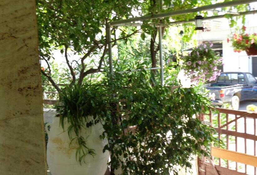 スタンダードルーム, Savas Rooms