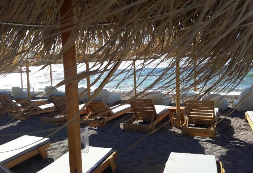 豪华海景房, The Coast