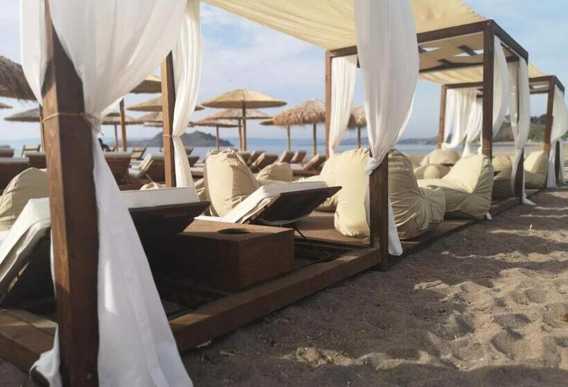 豪华海景房, The Coast