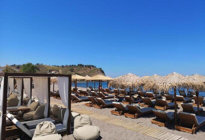 豪华海景房, The Coast