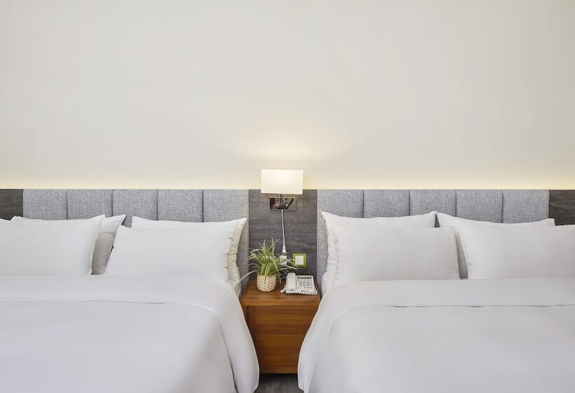 اتاق استاندارد چهار تخته, Z