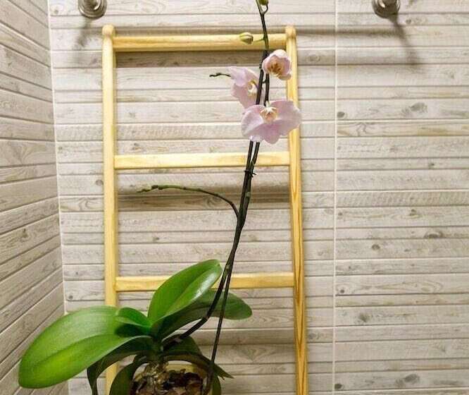 חדר אקונומי לשלושה, Shumak