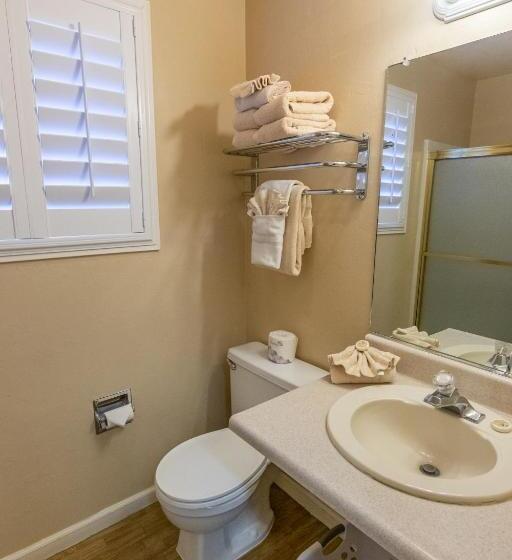 اتاق استاندارد با تخت بزرگ, June Lake Motel