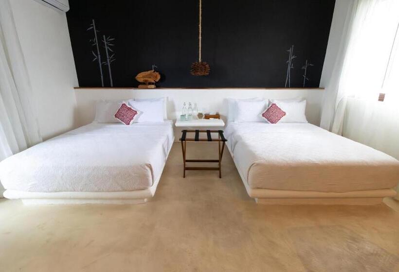 سوییت, Casa HX - Adults Only
