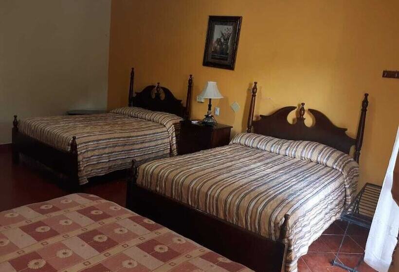 اتاق خانوادگی, Acropolis Maya