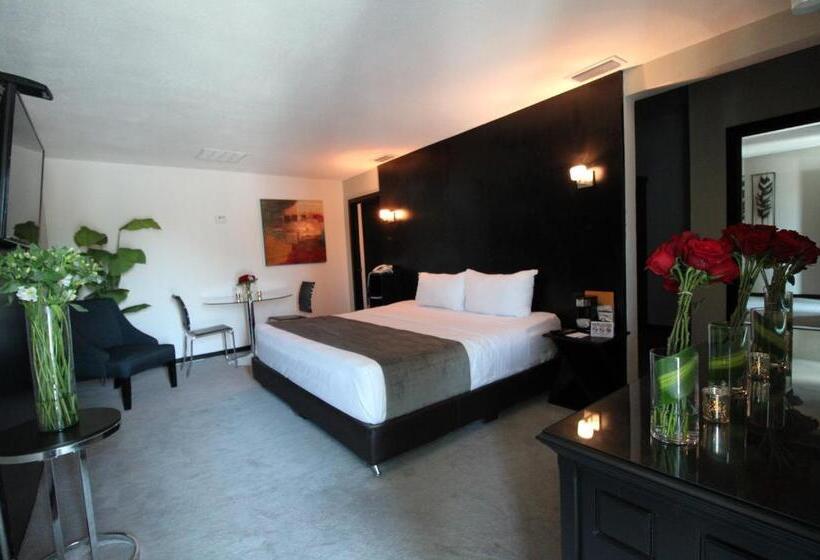 جناح جونيور, Stay Inn Hotels