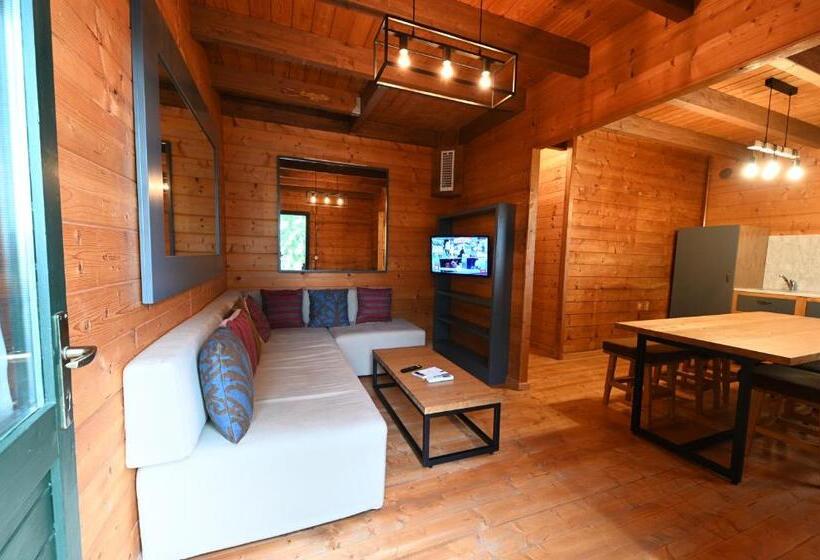 شاليه سوبيريور غرفة نوم واحدة, Il Ciocco Hotels