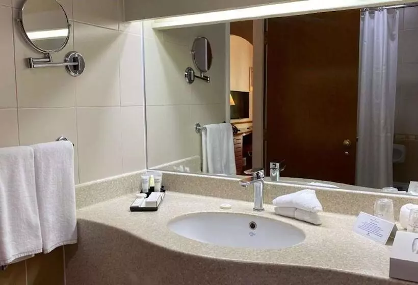 اتاق استاندارد با چشم‌انداز استخر, Golden Tulip Nizwa