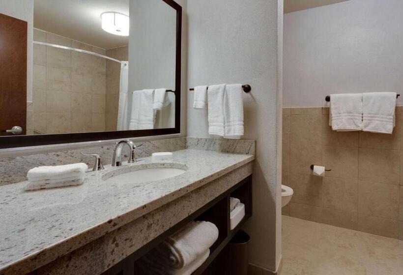 Люкс Адаптированный для Инвалидов, Drury Plaza Hotel Cape Girardeau Conference Center