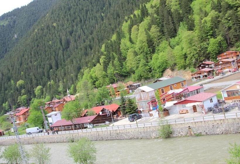 ファミリールーム, Akpinar