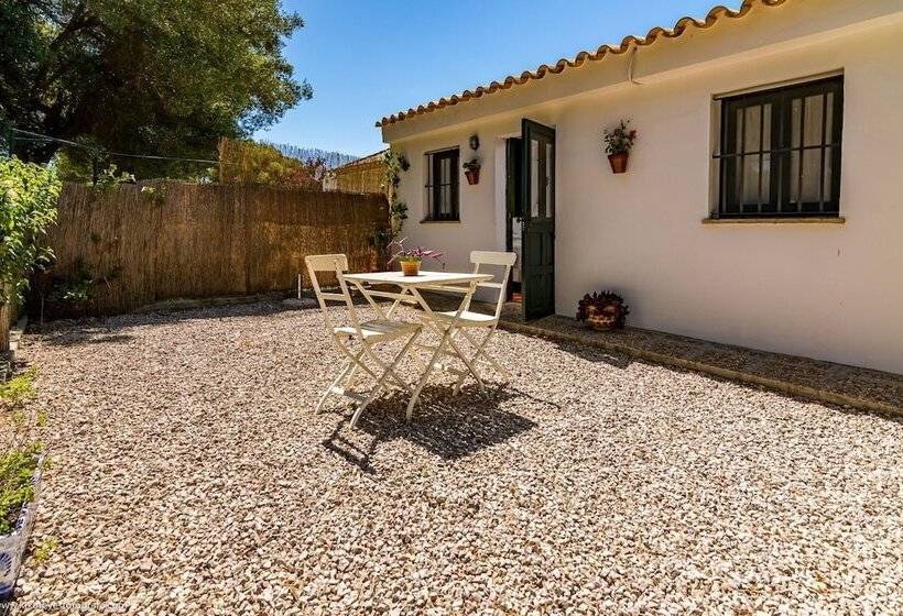 클래식 스위트, Cortijo El Indiviso