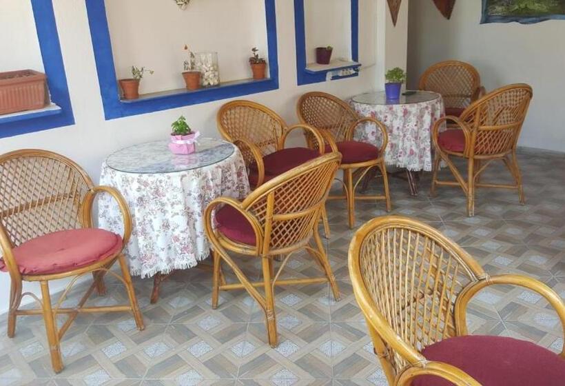 スタンダードシングルルーム, Mavi Pansiyon