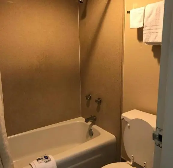 اتاق استاندارد با تخت بزرگ, Express Inn