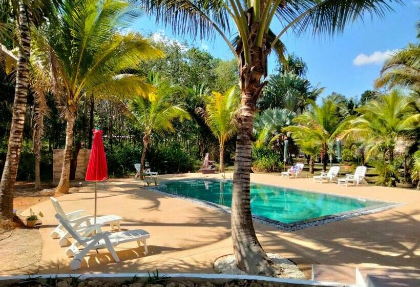 Стандартный Номер Кровать Кинг, Beautiful Flower Resort