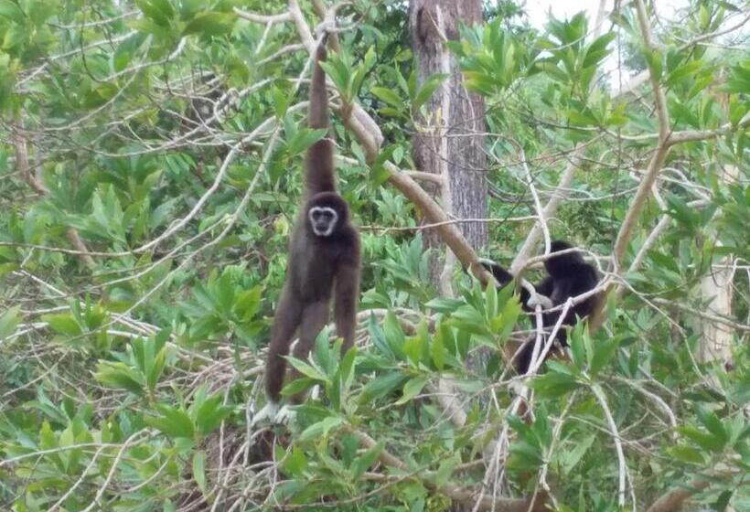 חדר סטנדרט עם מיטת קינג, Beautiful Flower Resort